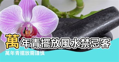 萬年青風水禁忌|萬年青擺放風水禁忌 客廳可以放萬年青嗎